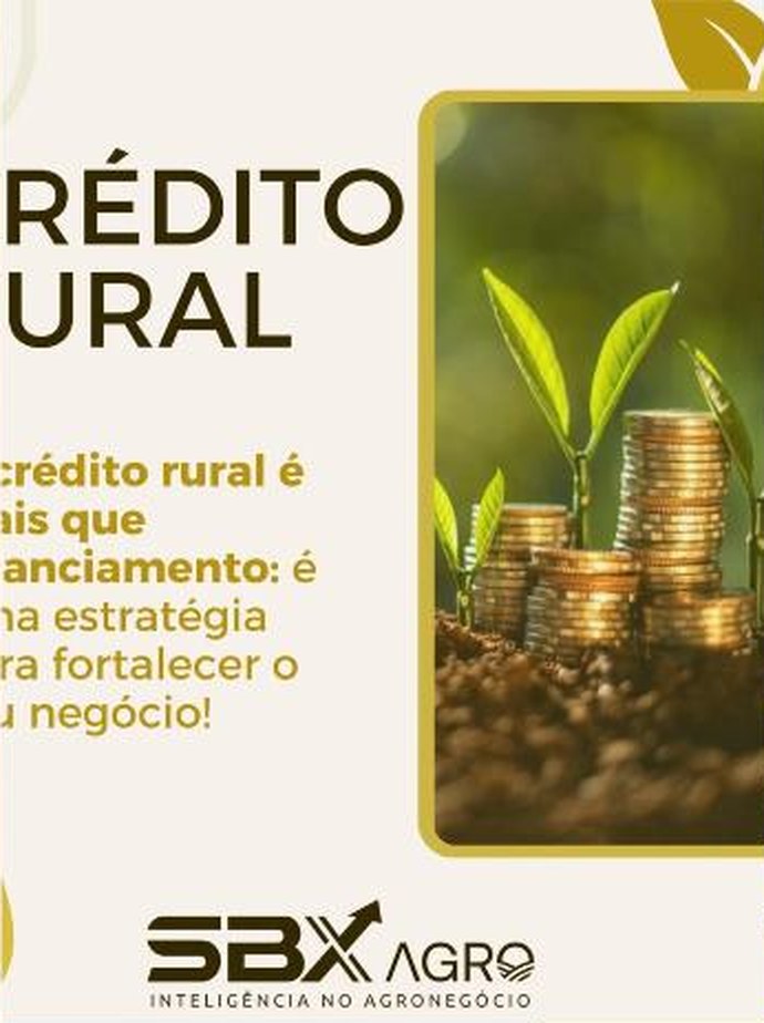 SBX Agro no Instagram