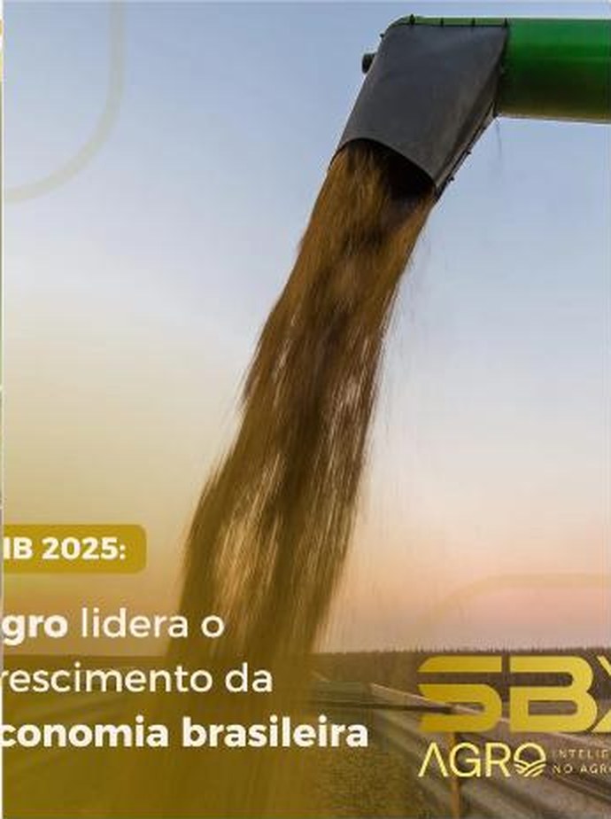 SBX Agro no Instagram