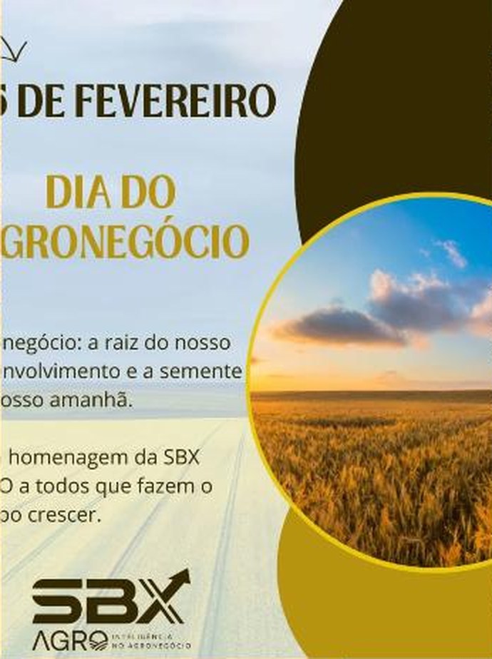 SBX Agro no Instagram